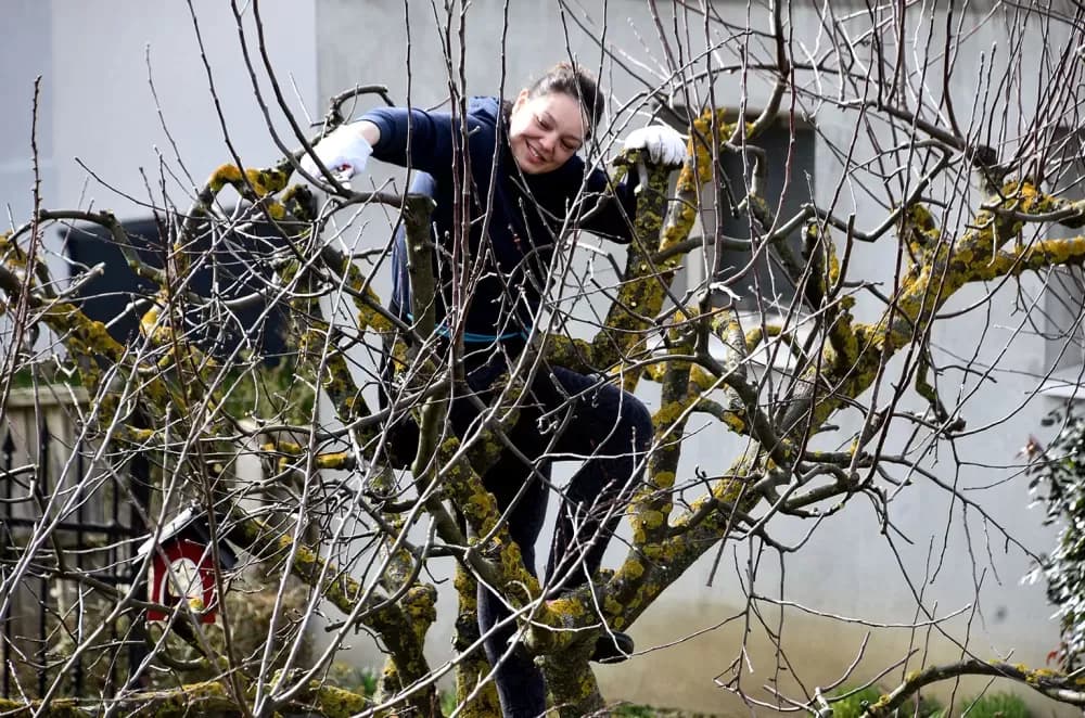 Nakon ʼTexasaʼ, Vetovčanka Maja Voštok završila na drvetu!