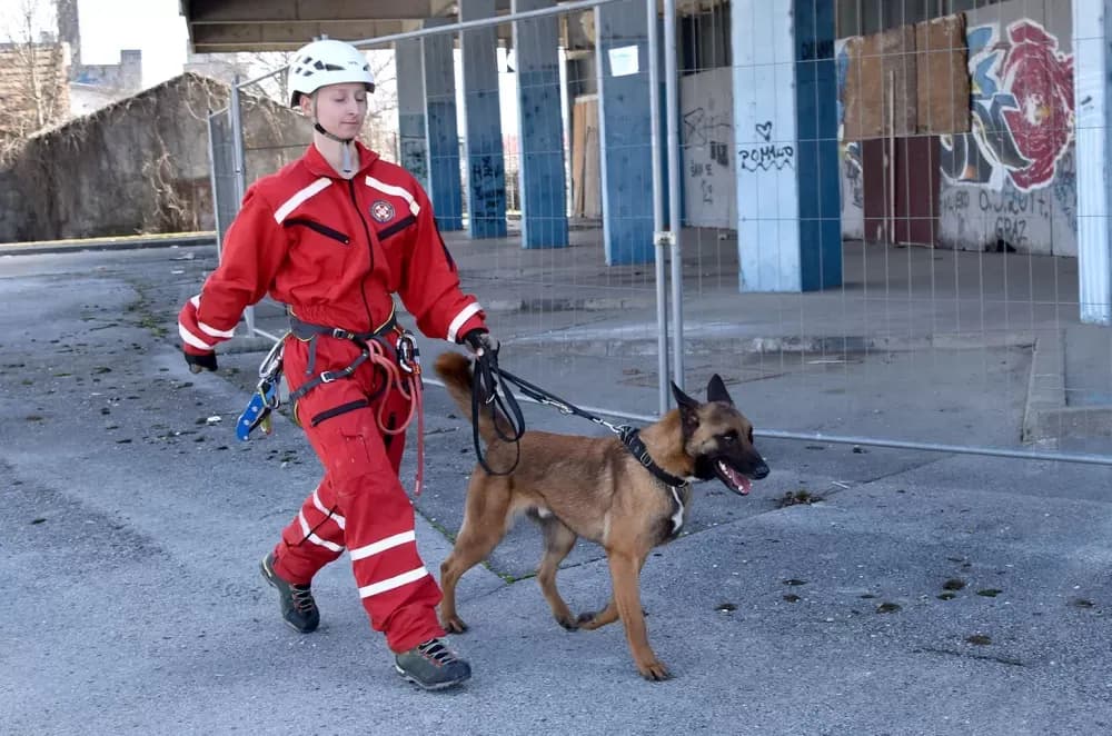 Vatrogasci, hitna, Crveni križ i HGSS na zajedničkoj vježbi u Požegi