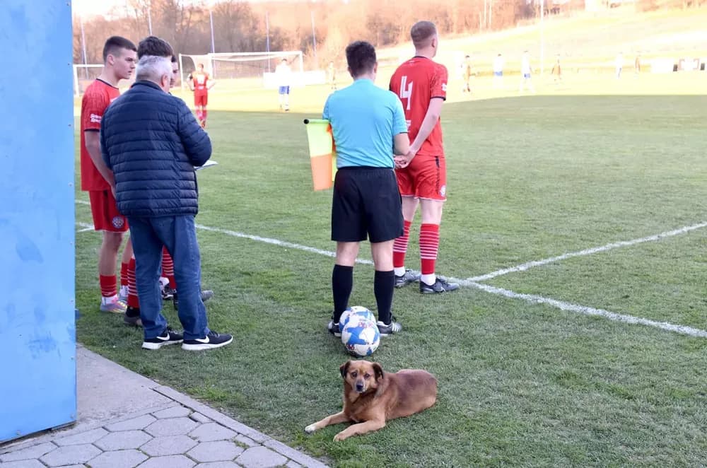 POŽEGA UVJERLJIVA U MIHALJEVCIMA: Praznik nogometa uz zahvalu požeškom fotoreporteru