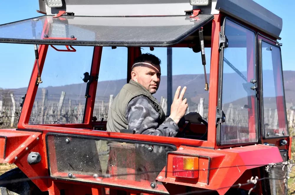 Vjerni  čuvari vinske kapljice: Obitelj Paulić, pola stoljeća tradicije podno Mitrovca
