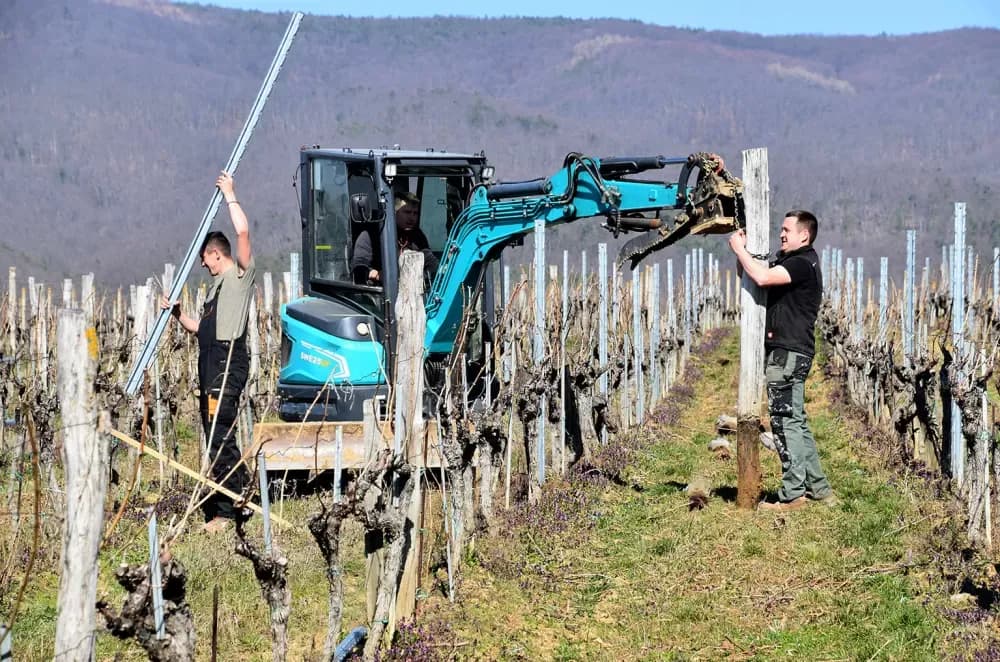 Vjerni  čuvari vinske kapljice: Obitelj Paulić, pola stoljeća tradicije podno Mitrovca