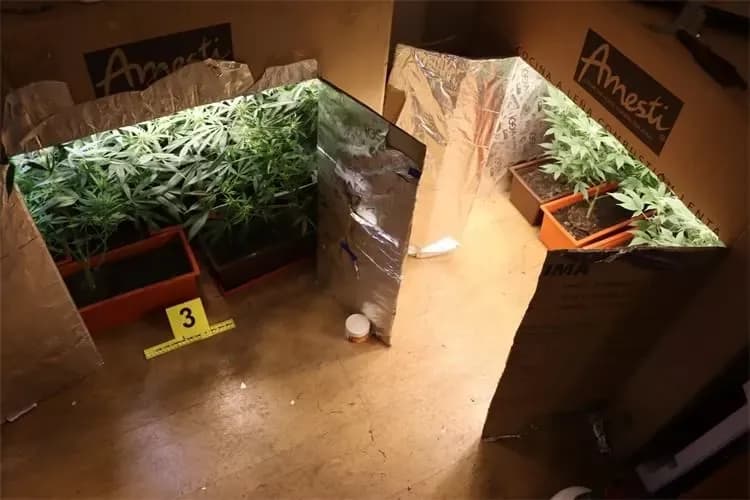 Kriminalistička policija razotkrila kućni laboratorij za uzgoj droge