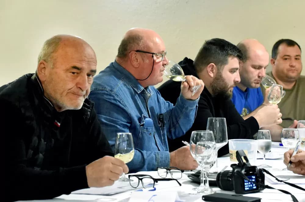 Završeno peto kolo ocjenjivanja udruge ʼVino-Kapʼ: Kaptolačka vina spremna za zlatni sjaj