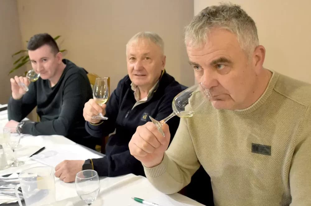 Završeno peto kolo ocjenjivanja udruge ʼVino-Kapʼ: Kaptolačka vina spremna za zlatni sjaj