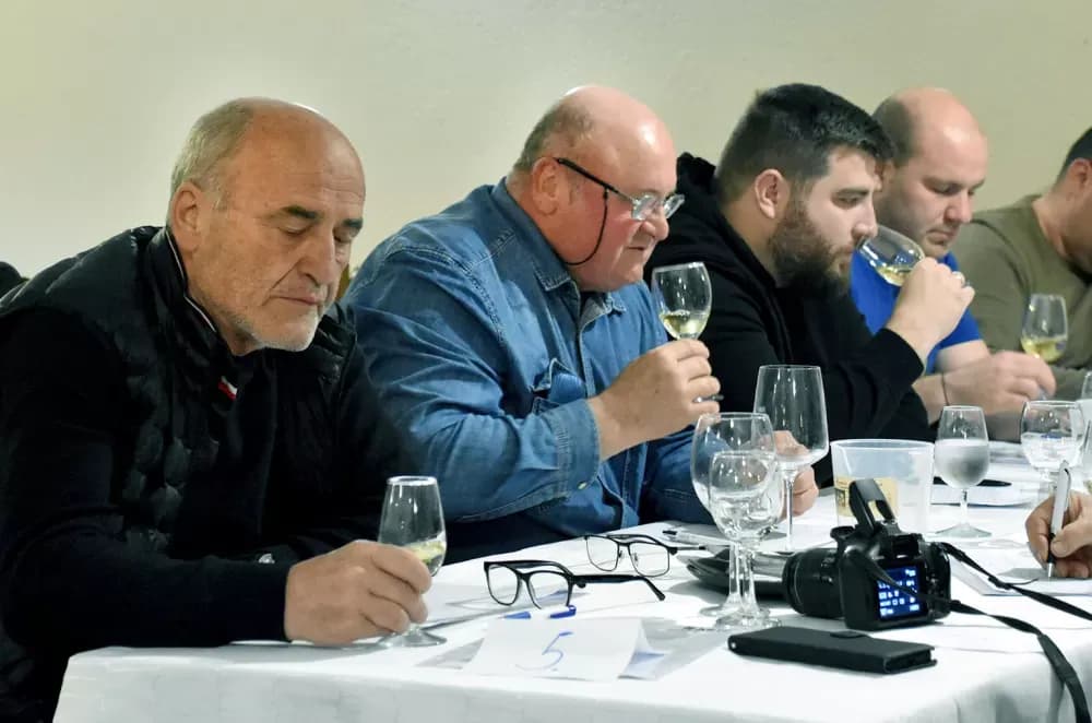 Završeno peto kolo ocjenjivanja udruge ʼVino-Kapʼ: Kaptolačka vina spremna za zlatni sjaj