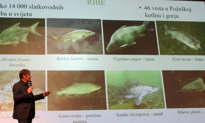 U Interpretacijskom centru „Terra panonica“  održana zanimljiva predavanja o temi „Prirodna baština u fokusu“