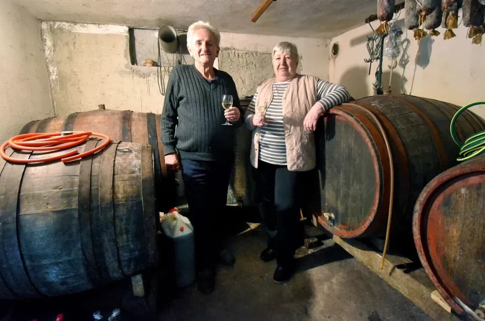 Čuvari tradicije na bilu Požeške gore: Kod Franekića se vino još uvijek čuva u drvetu