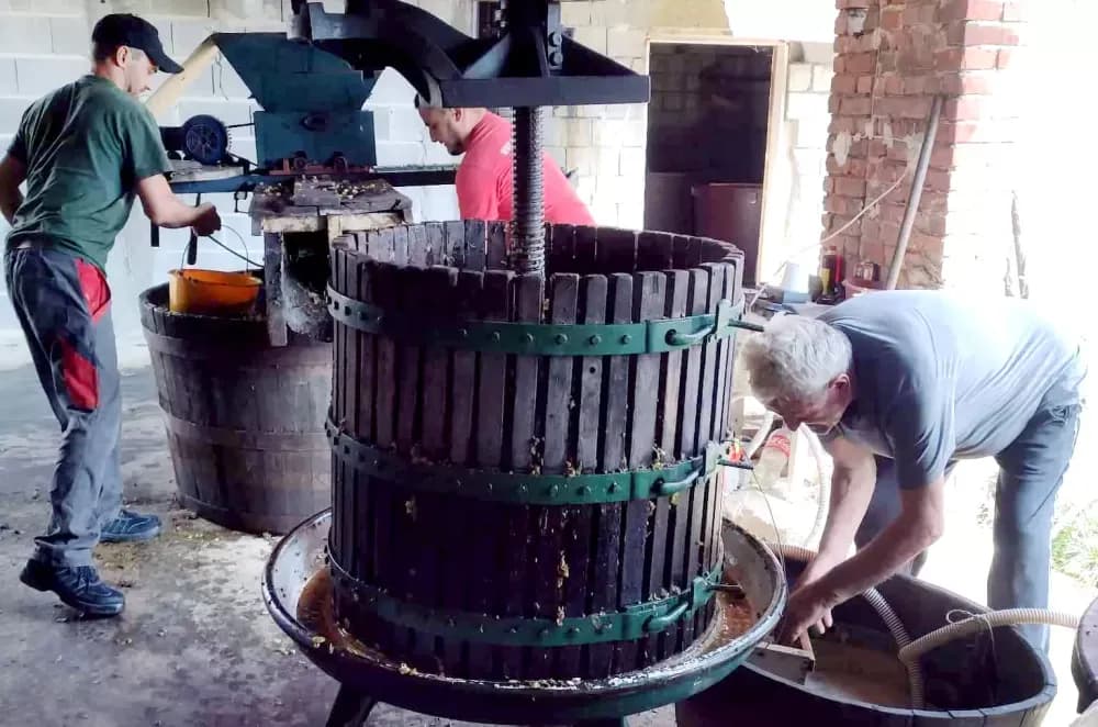 Čuvari tradicije na bilu Požeške gore: Kod Franekića se vino još uvijek čuva u drvetu