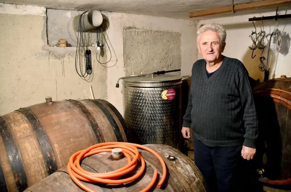 Čuvari tradicije na bilu Požeške gore: Kod Franekića se vino još uvijek čuva u drvetu