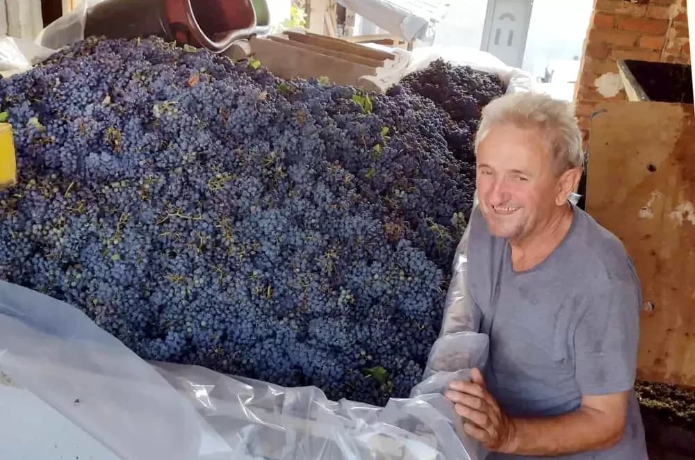 Čuvari tradicije na bilu Požeške gore: Kod Franekića se vino još uvijek čuva u drvetu
