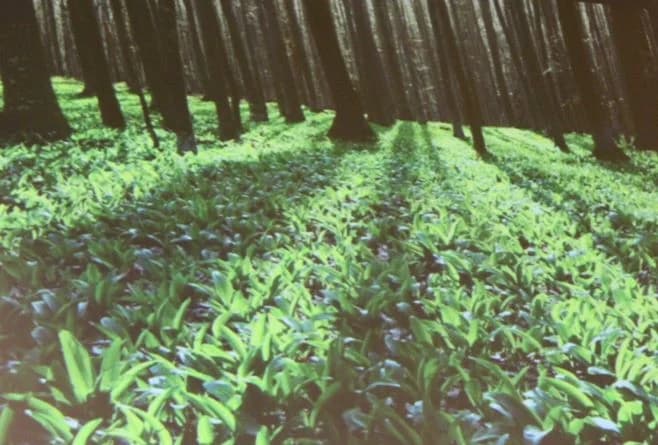 U Interpretacijskom centru „Terra panonica“  održana zanimljiva predavanja o temi „Prirodna baština u fokusu“