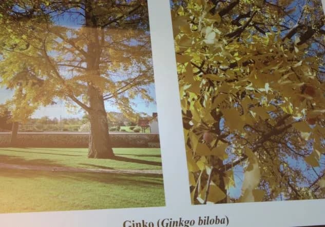 U Interpretacijskom centru „Terra panonica“  održana zanimljiva predavanja o temi „Prirodna baština u fokusu“