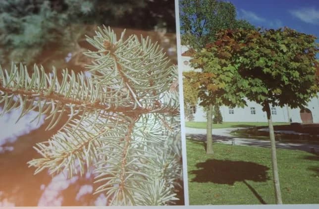 U Interpretacijskom centru „Terra panonica“  održana zanimljiva predavanja o temi „Prirodna baština u fokusu“