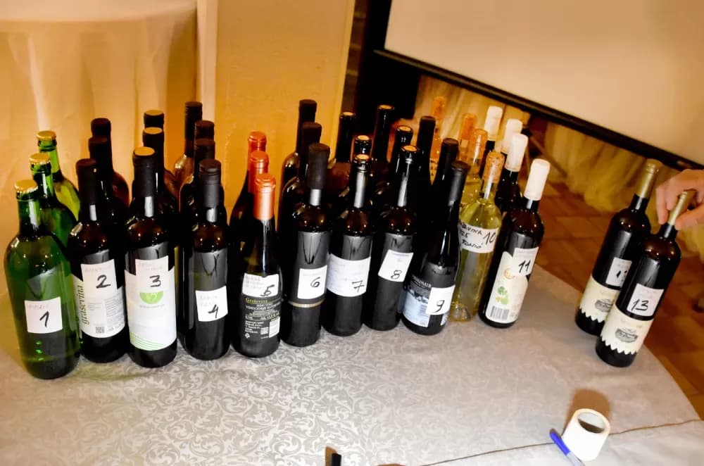 Kaptolački ʼVino-Kapʼ postao međunarodna udruga: Zlatne graševine u finalu ocjenjivanja