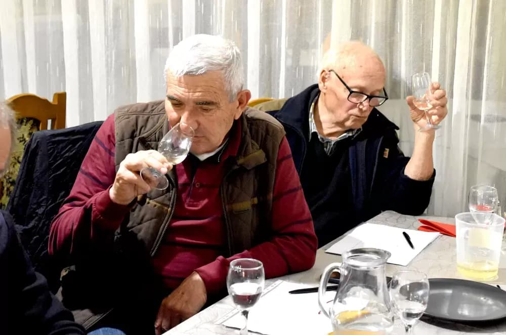 Kaptolački ʼVino-Kapʼ postao međunarodna udruga: Zlatne graševine u finalu ocjenjivanja