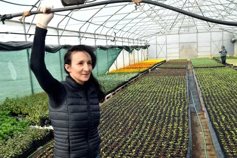 Od vetovačkih plastenika do velikih centara: Jakeljići donose proljeće u Požeštinu