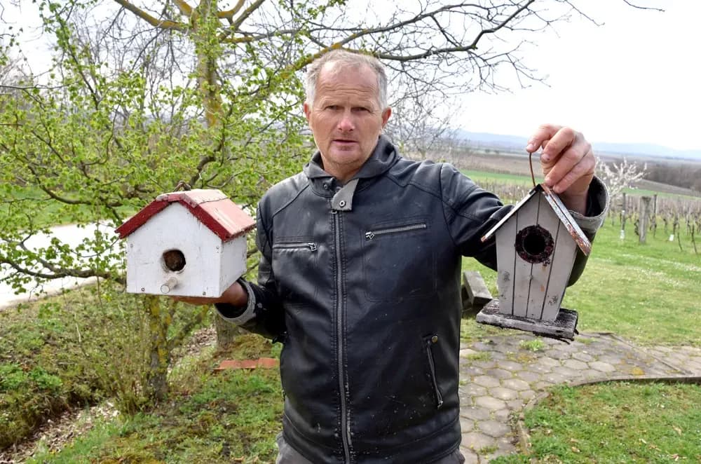 Simfonija iz Mitrovca: Kako su Ante Miličević i Vinko Krsnik vinograd pretvorili u ptičji raj