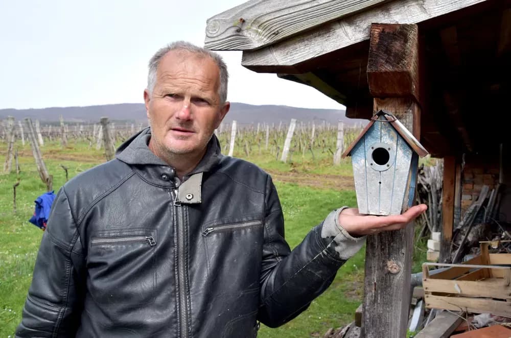 Simfonija iz Mitrovca: Kako su Ante Miličević i Vinko Krsnik vinograd pretvorili u ptičji raj
