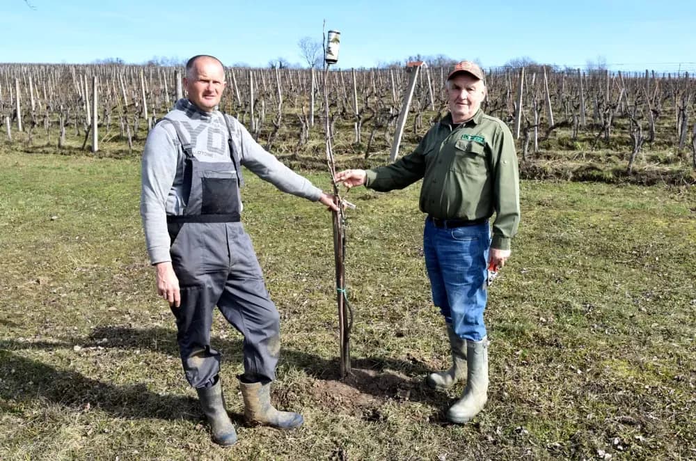 Simfonija iz Mitrovca: Kako su Ante Miličević i Vinko Krsnik vinograd pretvorili u ptičji raj