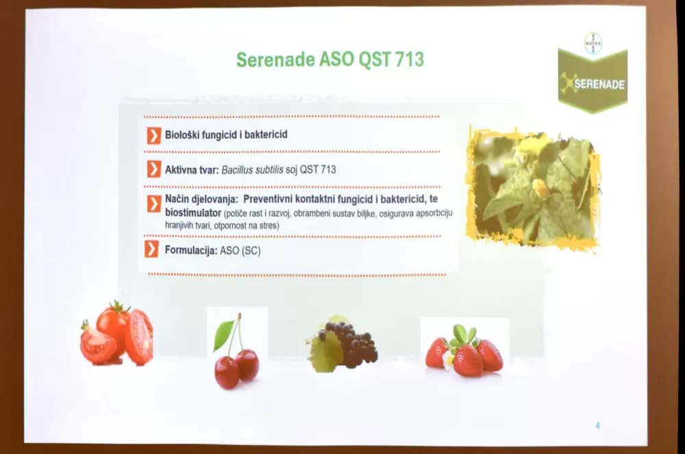 KUTJEVAČKI VINARI KOD OBITELJI PERAK: Stručno usavršavanje uoči nove vegetacijske sezone