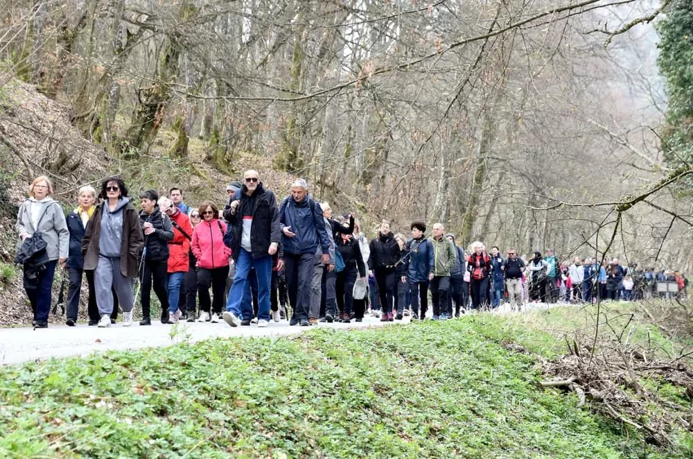 Tisuće planinara na Papučkim jaglacima pohode sedam staza