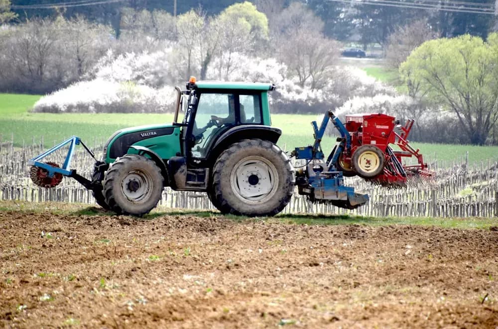 Krauthaker širi nasad na Mitrovcu: Strojna sadnja na dva hektara prestižnih pozicija