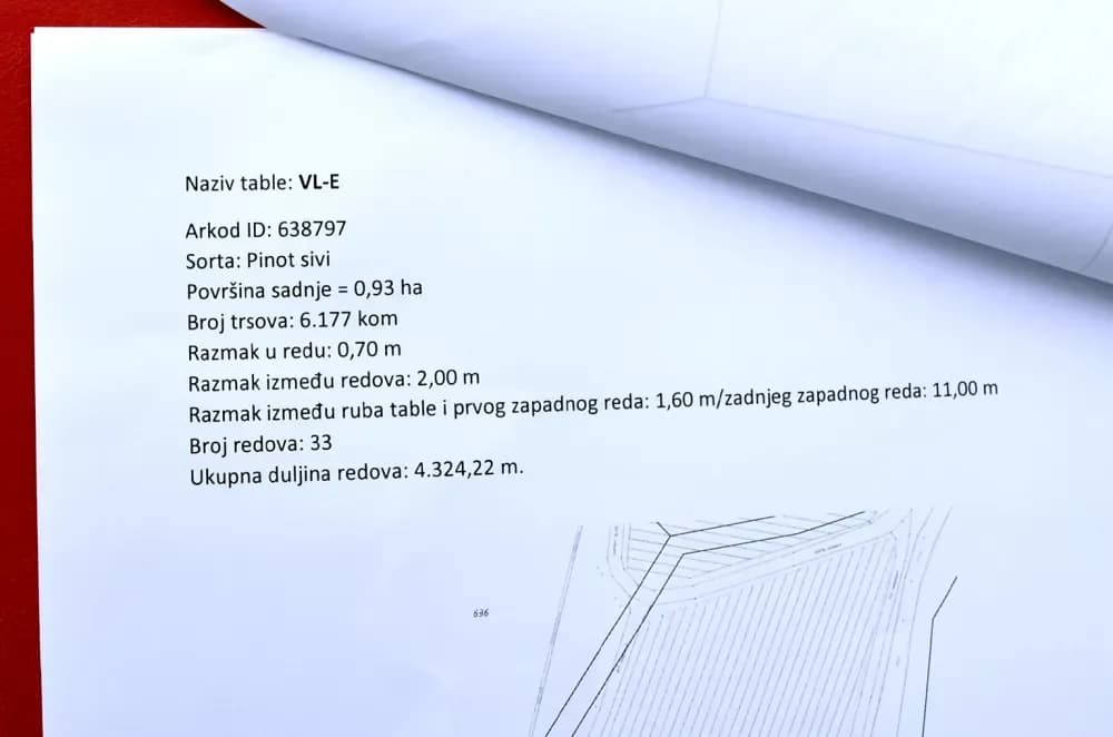 Krauthaker širi nasad na Mitrovcu: Strojna sadnja na dva hektara prestižnih pozicija