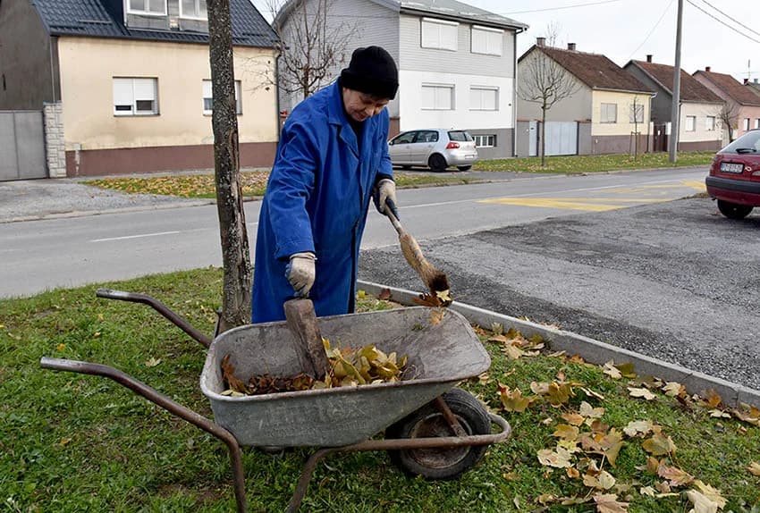 S NISKIM TEMPERATURAMA NESTALA ČAROLIJA BOJA: Mraz ogolio stabla