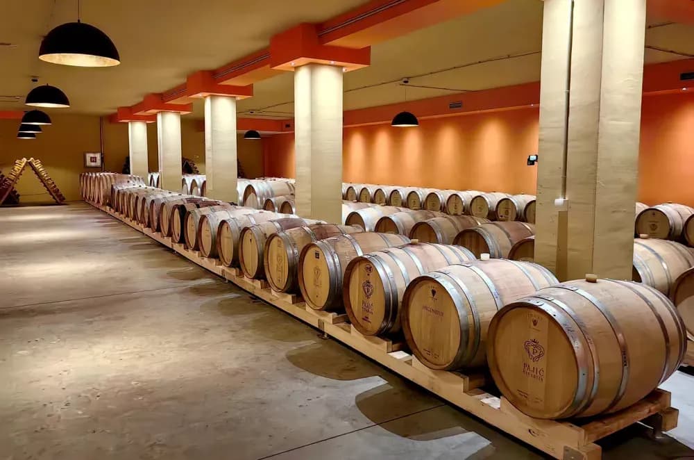 Vinski ambasadori u Bosanskoj Posavini: Članovi udruge „Vino-Kap“ posjetili vinarije Pajić i Babić