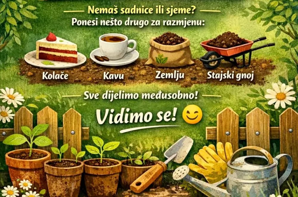 Praznik za vrtlare iznad Požege: Razmjena sjemena i presadnica koja čuva tradiciju