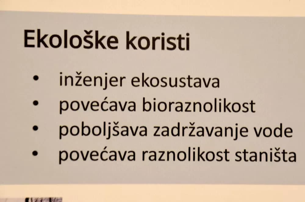 Dan planeta Zemlje u Požegi: Što nas „inženjer prirode“ može naučiti o odgovornosti prema jedinom domu koji imamo?