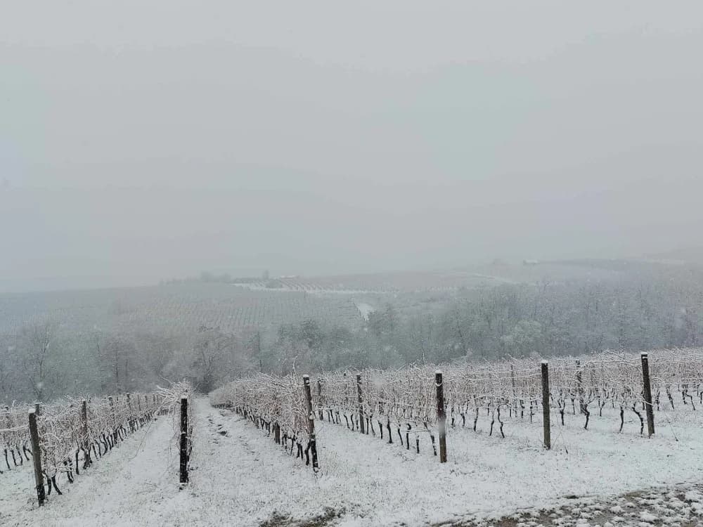 Snježna idila u kaptolačkom kraju