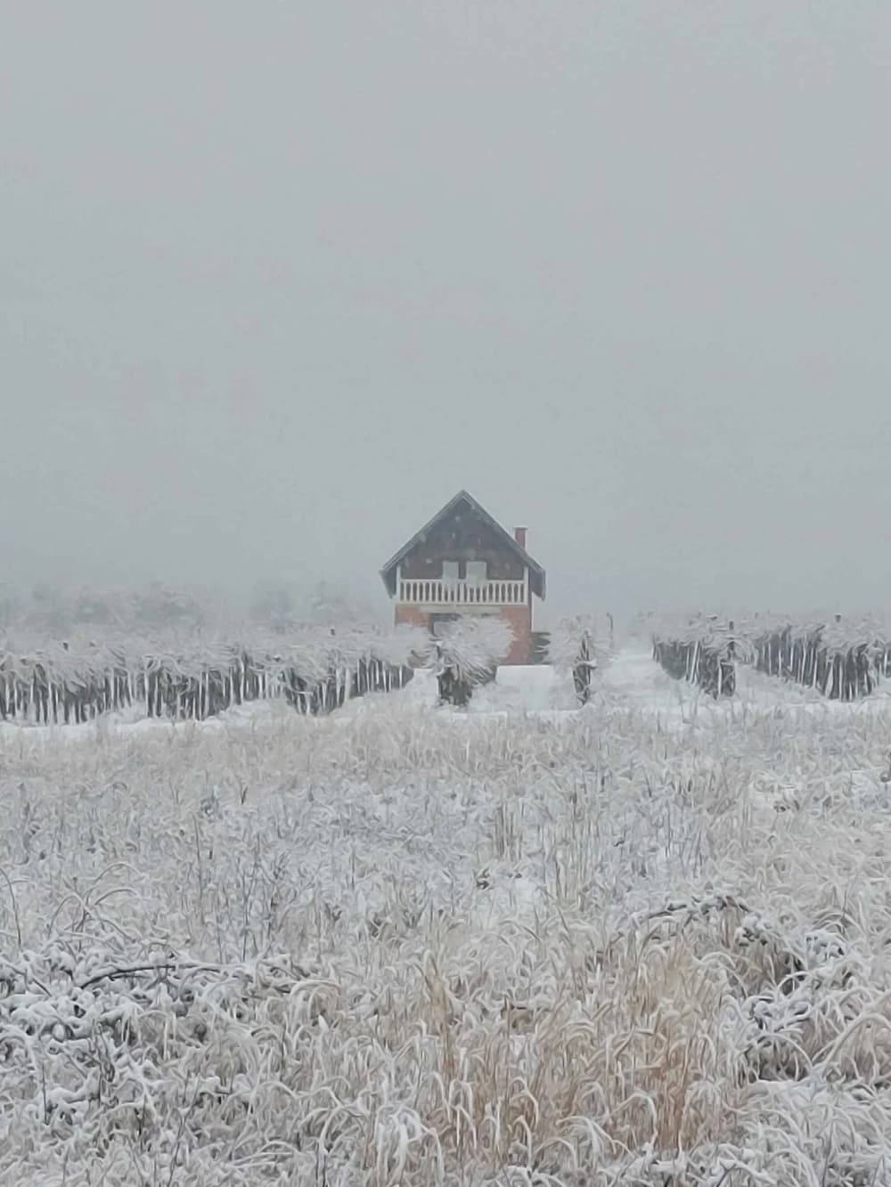 Snježna idila u kaptolačkom kraju
