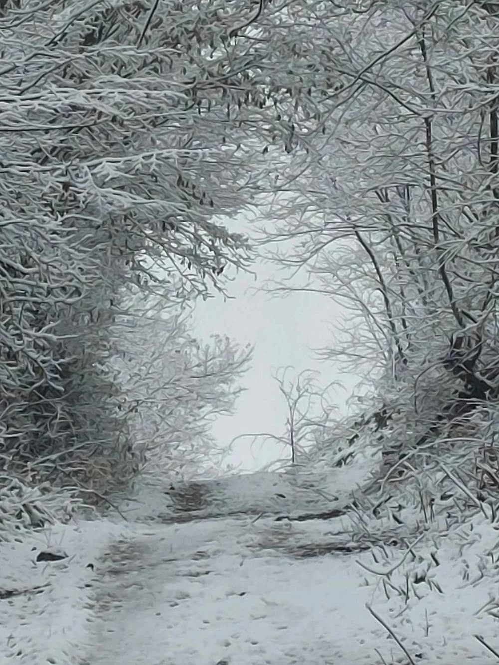 Snježna idila u kaptolačkom kraju