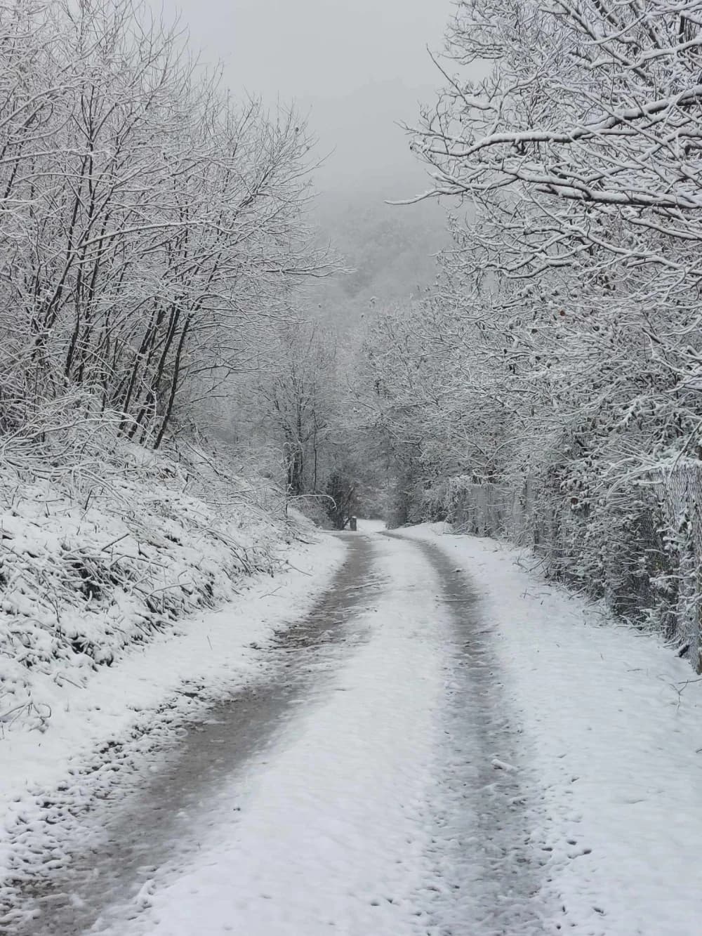 Snježna idila u kaptolačkom kraju