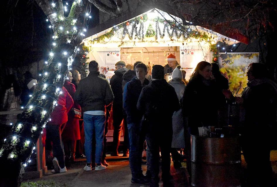 ODRŽAN KONCERT VESEN PISAROVIĆ U NJENOJ RODNOJ POŽEGI: Prisutne bacila „dolje na koljena“