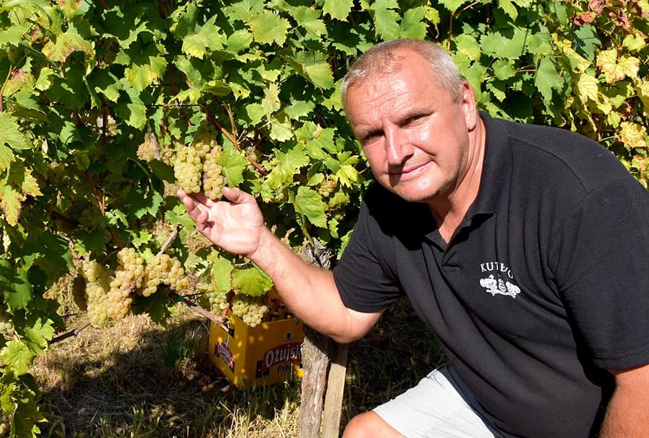 VINOGRADARSKA OBITELJ MIJE ŠOLČIĆA IZ BIŠKUPACA: Svi ukućani uključeni u proizvodnju