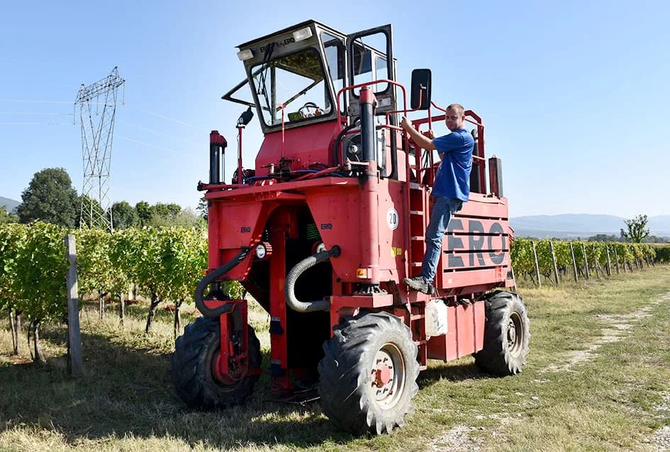 VINOGRADARSKA OBITELJ MIJE ŠOLČIĆA IZ BIŠKUPACA: Svi ukućani uključeni u proizvodnju