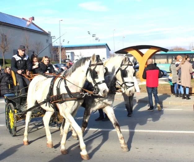 Nova godina dočekana u podne na Trgu bećarca u Pleternici uz gastro speijalitete, ispijanje šampanjca, puštanje balona dobrih želja i razigrano kolo