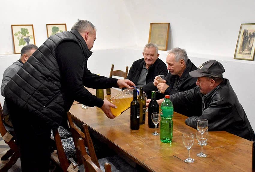 POŽEŽANI ĆE SLAVITI BLAGDAN SV. VINKA: Vincelovo u vinogradima na Velikom kamenu