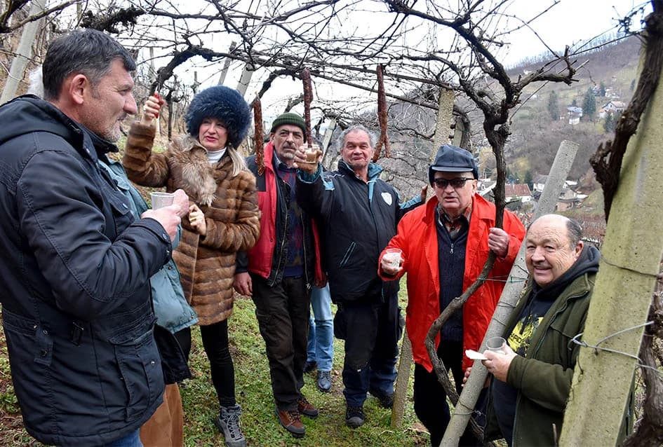Odustao nakon 53 godine vinogradarenja