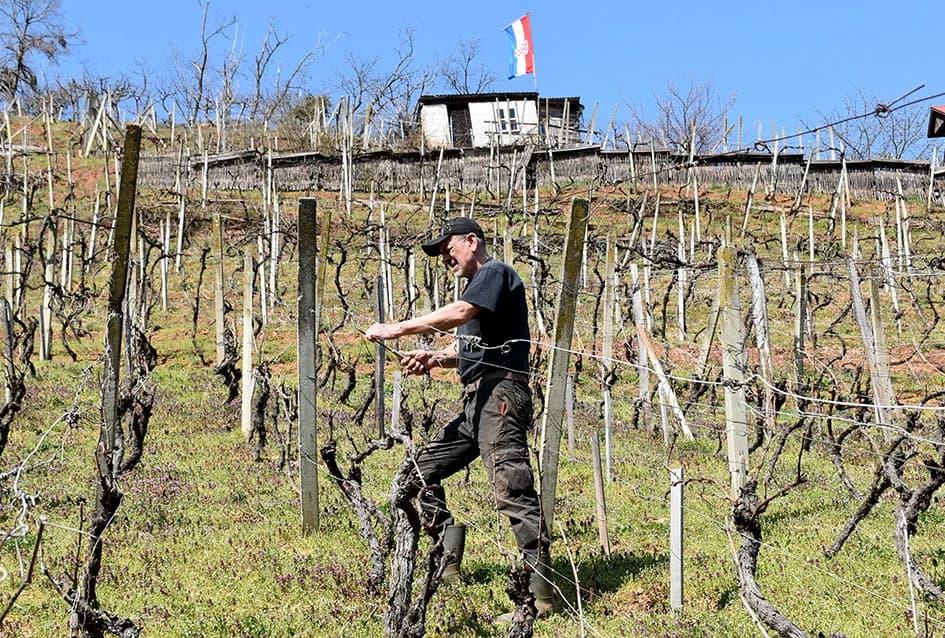 Odustao nakon 53 godine vinogradarenja
