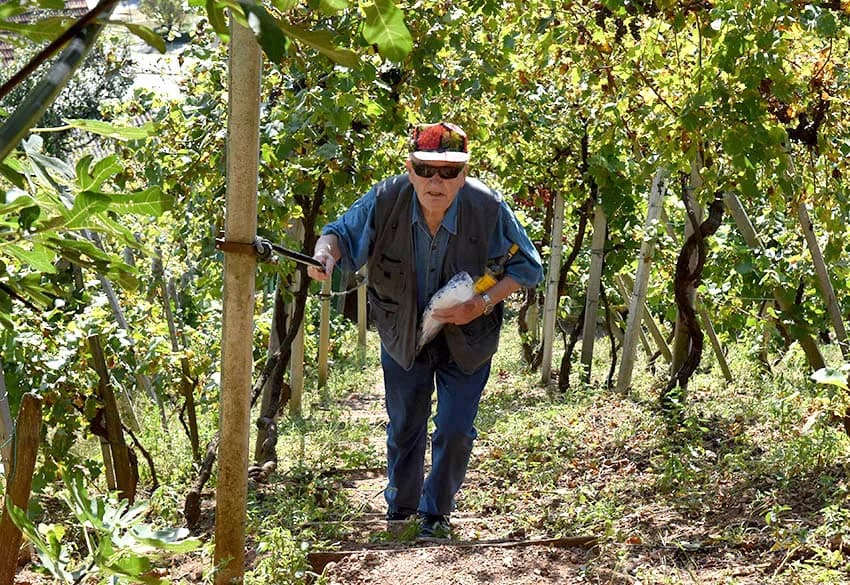 Odustao nakon 53 godine vinogradarenja