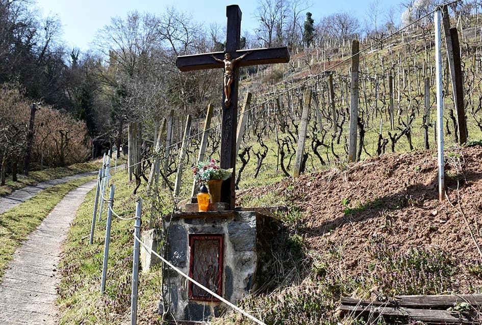 Odustao nakon 53 godine vinogradarenja