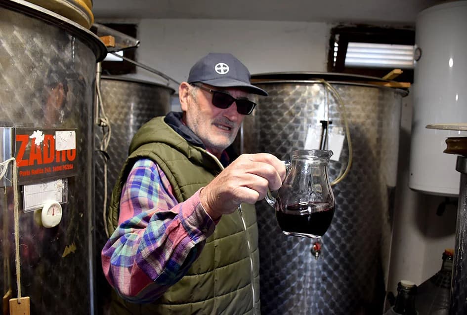 VINOGRADARSKA OBITELJ NENADA OSTOJIĆA IZ DRAGE: Počeli rezidbu prije Vincelova