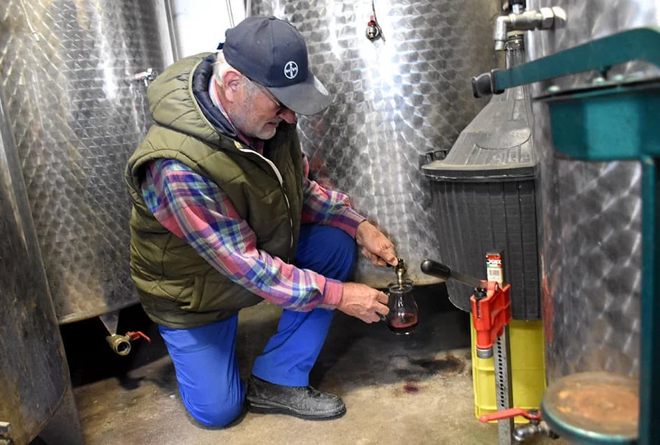 VINOGRADARSKA OBITELJ NENADA OSTOJIĆA IZ DRAGE: Počeli rezidbu prije Vincelova