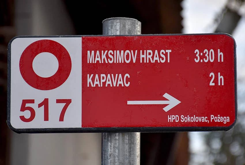 Održan 12. planinarski pohod na najviši vrh požeške gore koji je završio u podnožju Kapavca
