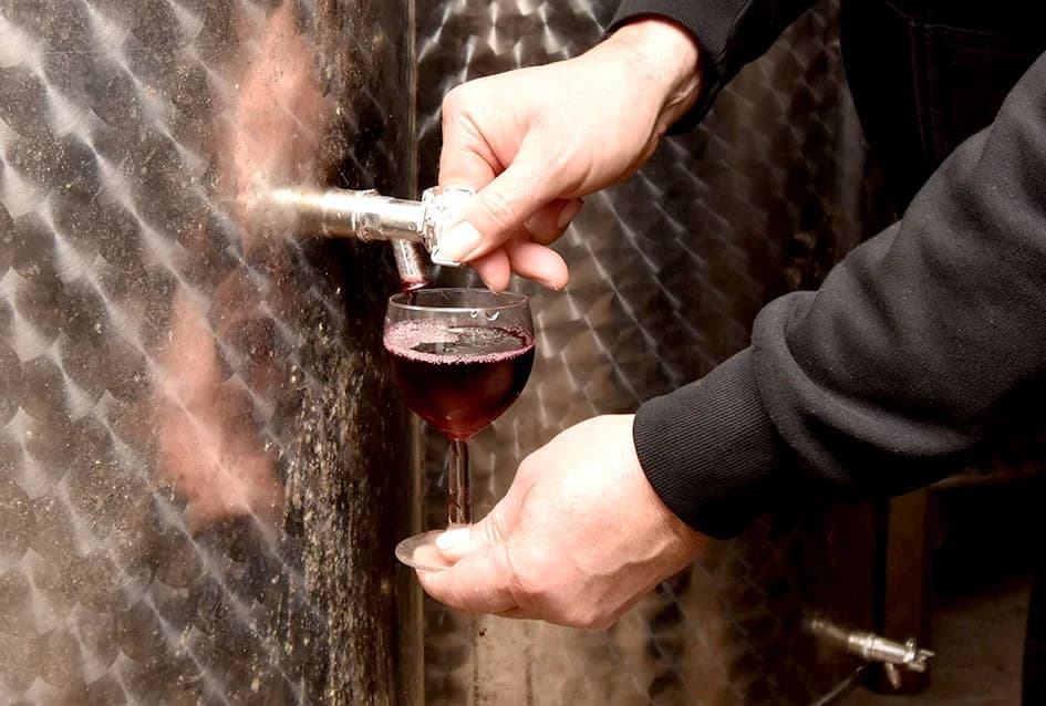Vinogradarska obitelj Antuna Hercega poznata po proizvodnji frankovke