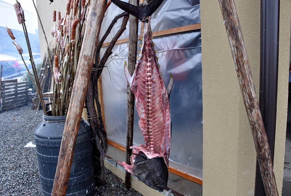 (FOTOGALERIJA) Najavili početak radova u vinogradima