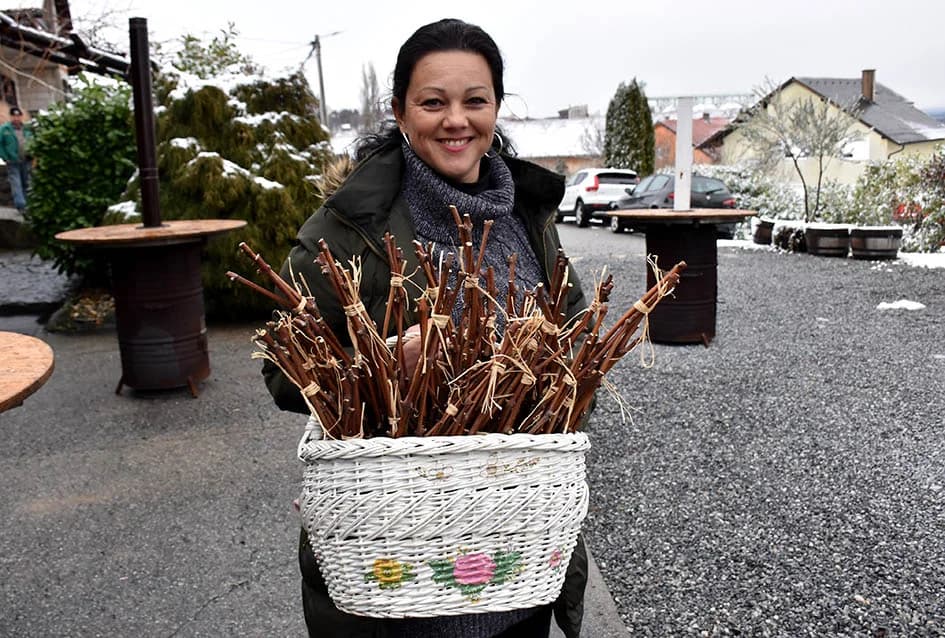 (FOTOGALERIJA) Najavili početak radova u vinogradima